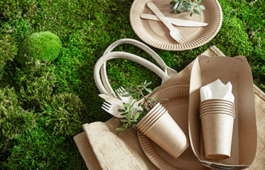 Biodegradable Plates and Cups